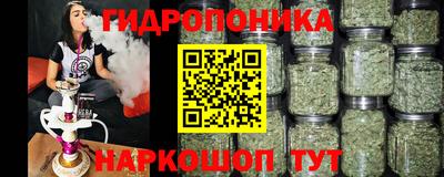 сатива Бузулук