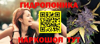 сатива Бузулук