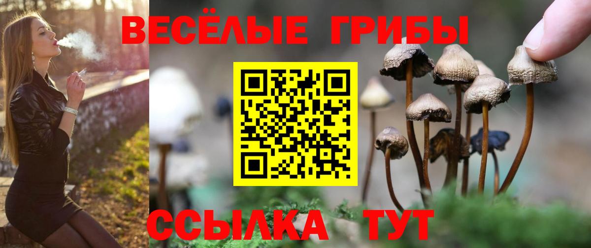 Псилоцибиновые грибы Magic Shrooms Котельники